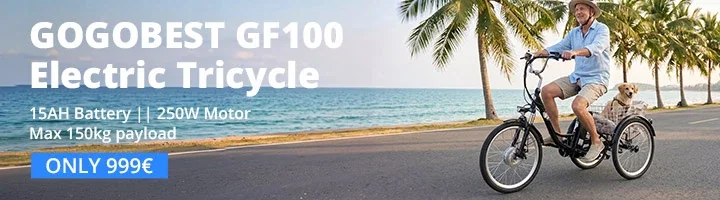 GOGOBEST GF100 Electric Tricycle