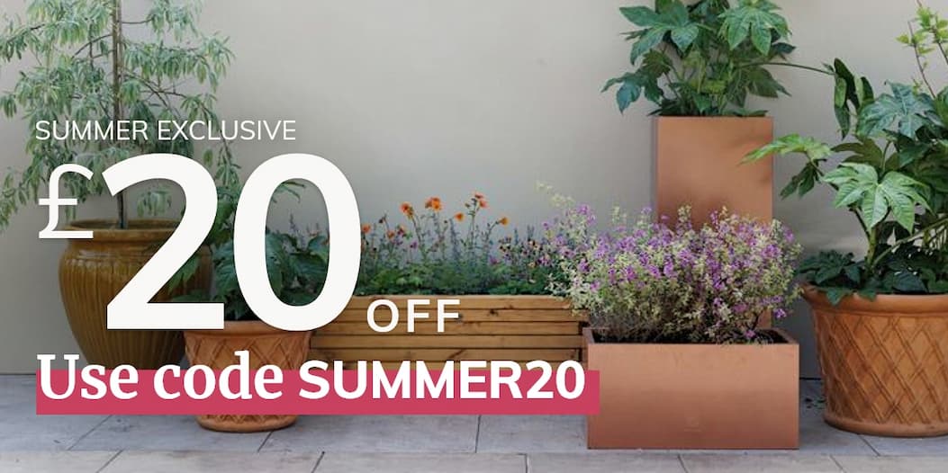 Use code SUMMER20 