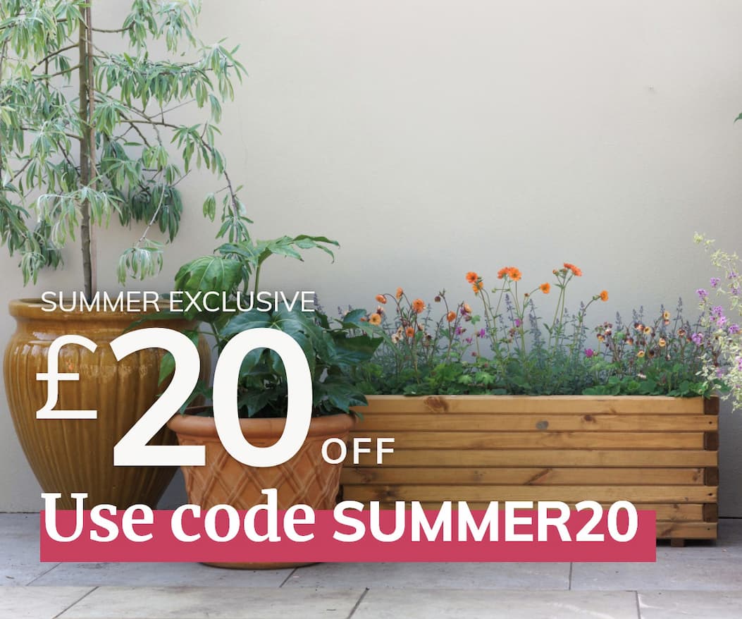 Use code SUMMER20