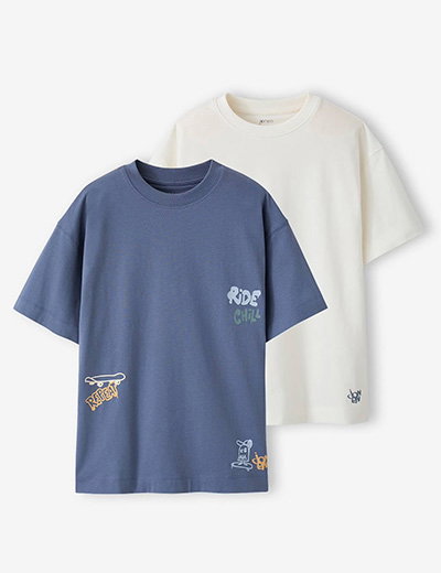 Pack of 2 short-sleeved t-shirts - grey blue
