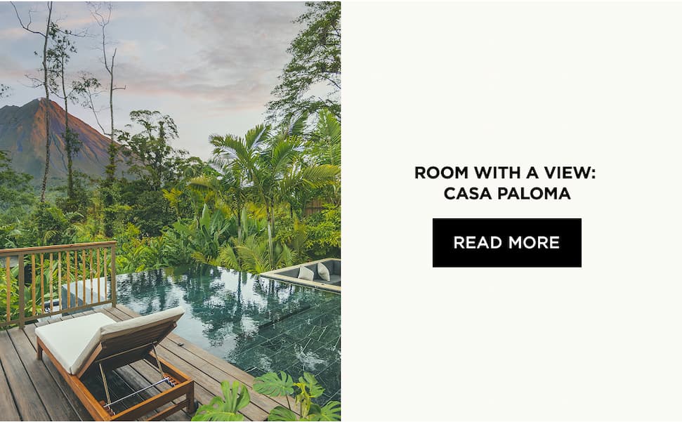 Room with A View: Casa Paloma