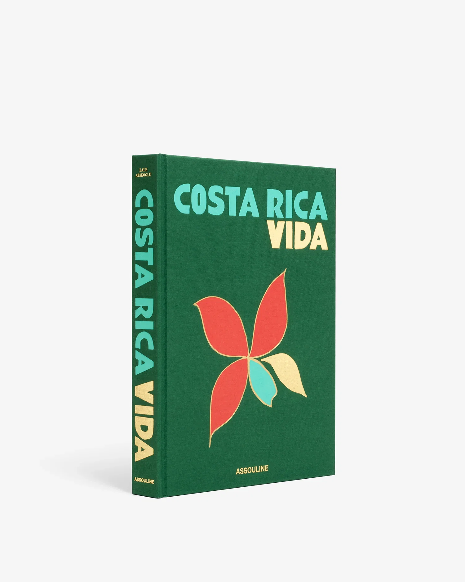 Image of Costa Rica Vida