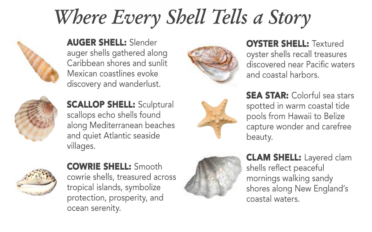 Where Every Shell Tells A Story - Auger Shell: Slender auger shells gathered along Caribbean shores and sunlit Mexican coastlines evoke discovery and wanderlust. - Oyster Shell: Textured oyster shells recall treasures discovered near Pacific waters and coastal harbors. - Scallop Shell: Sculptural scallops echo shells found along Mediterranean beaches and quiet Atlantic seaside villages. - Sea Star: Colorful sea stars spotted in warm coastal tide pools from Hawaii to Belize capture wonder and carefree beauty. - Cowrie Shell: Smooth cowrie shells, treasured across tropical islands, symbolize protection, prosperity, and ocean serenity. - Clam Shell: Layered clam shells reflect peaceful mornings walking sandy shores along New England's coastal waters.