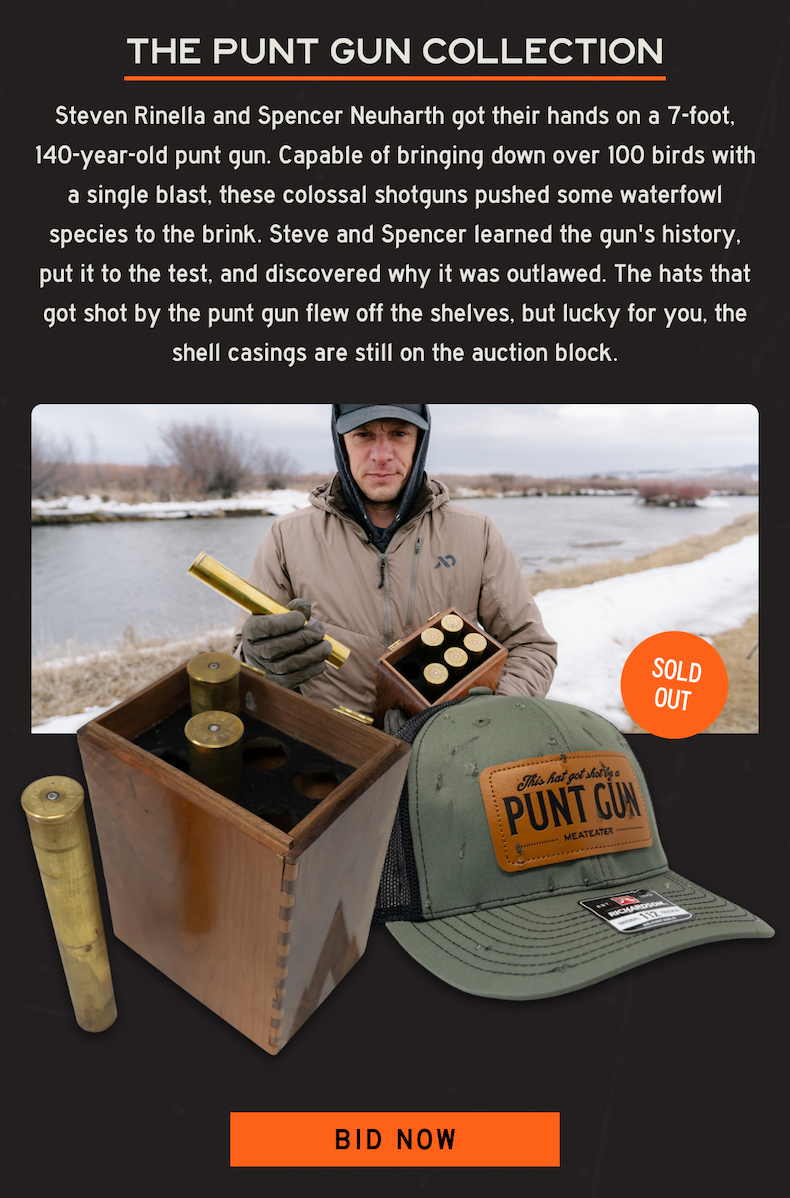 Punt Gun Collection