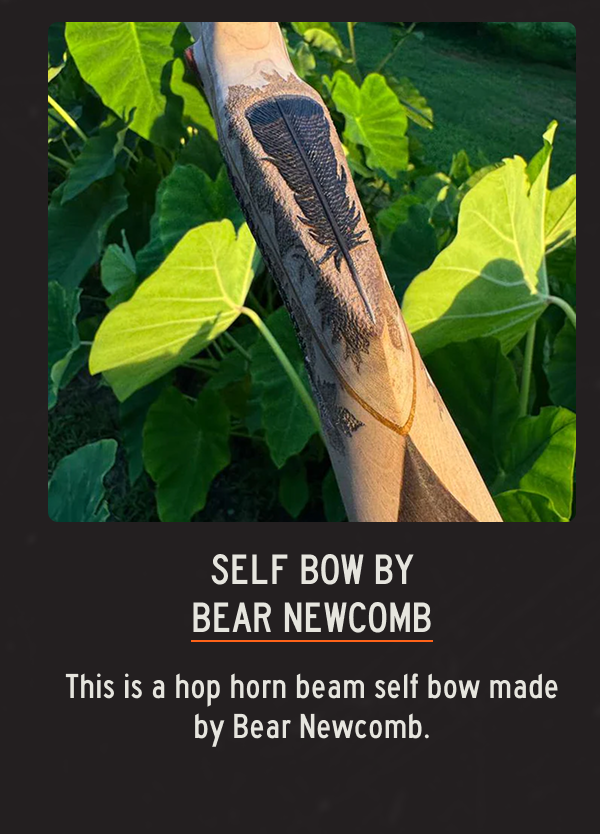 Self Bow By Bear Newcomb