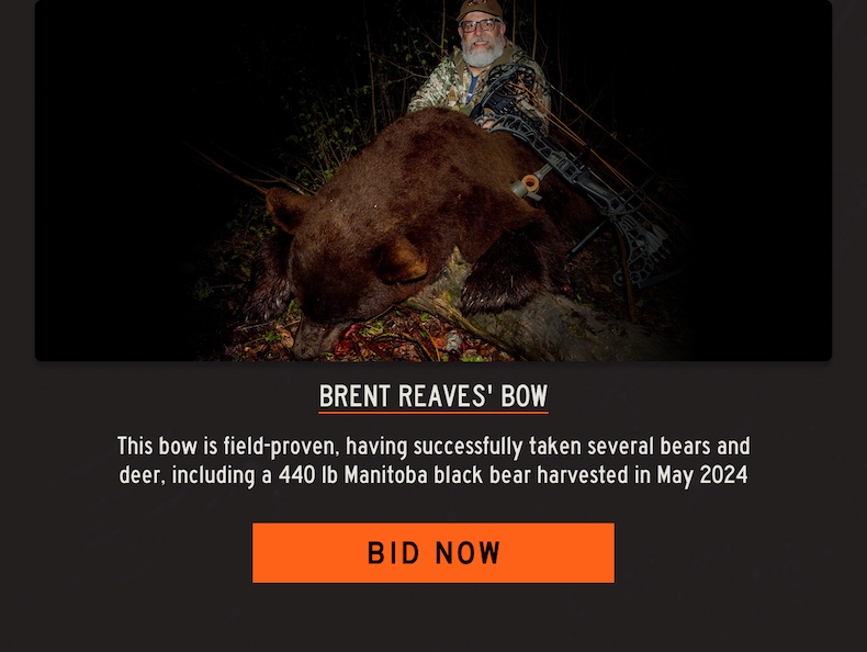 Brent Reave's Bow