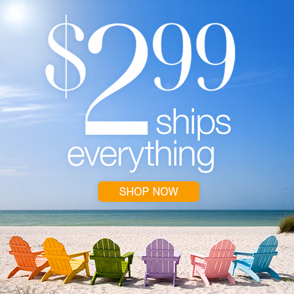 $2.99 Ships Everything