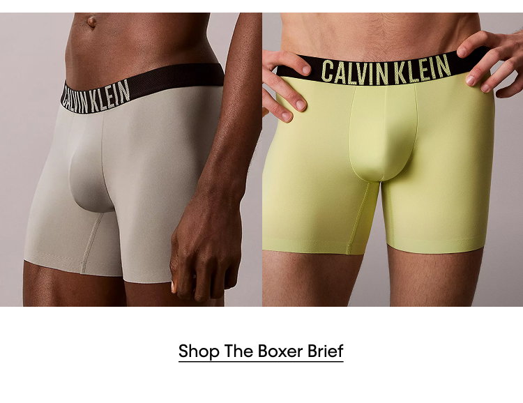 Shop The Boxer Brief