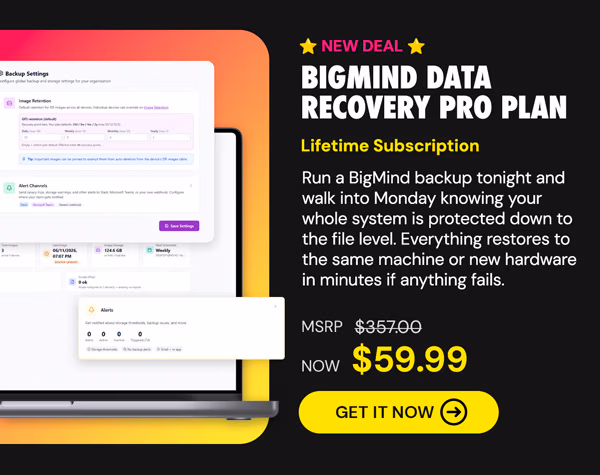 BigMind Data Recovery Pro Plan: Lifetime Subscription