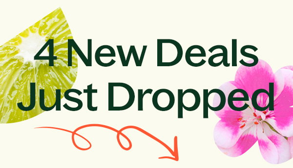 New Deals Just Landed!