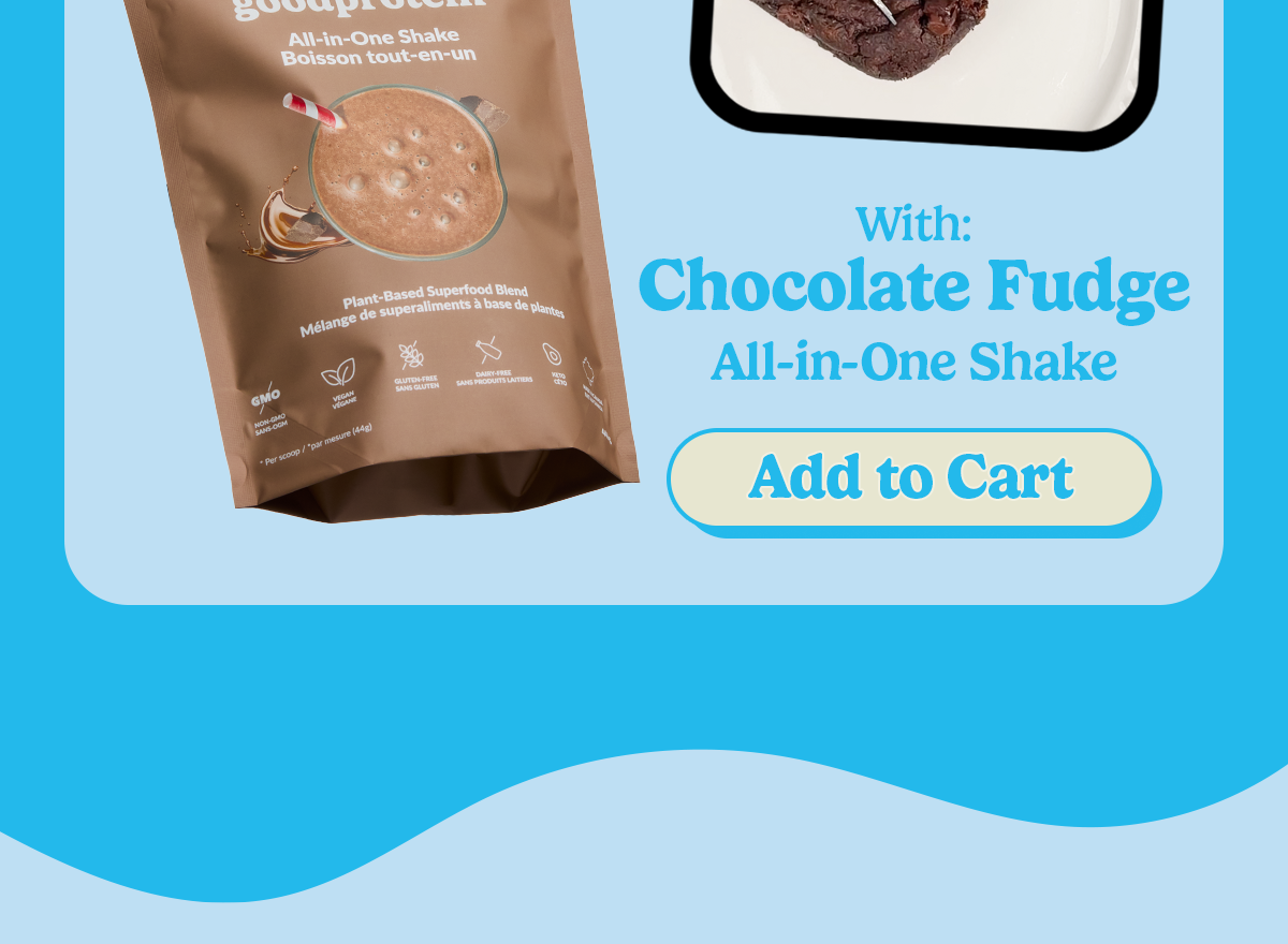 Chocolate Fudge Shake 