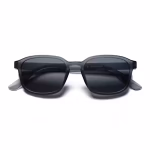 Sunseekers Sunglasses