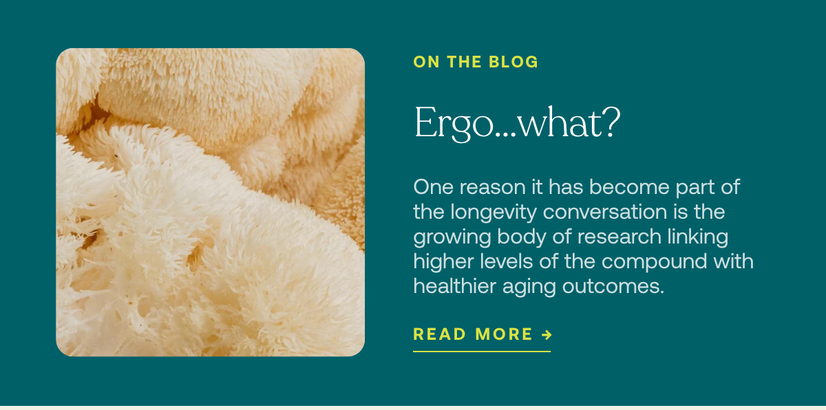 Ergo... what? Read More on the blog