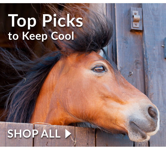 Top picks to keep cool this summer