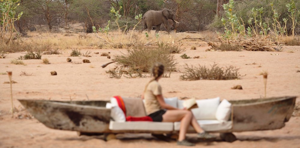 Guest unwinding outdoors as an elephant wanders through the surrounding wilderness