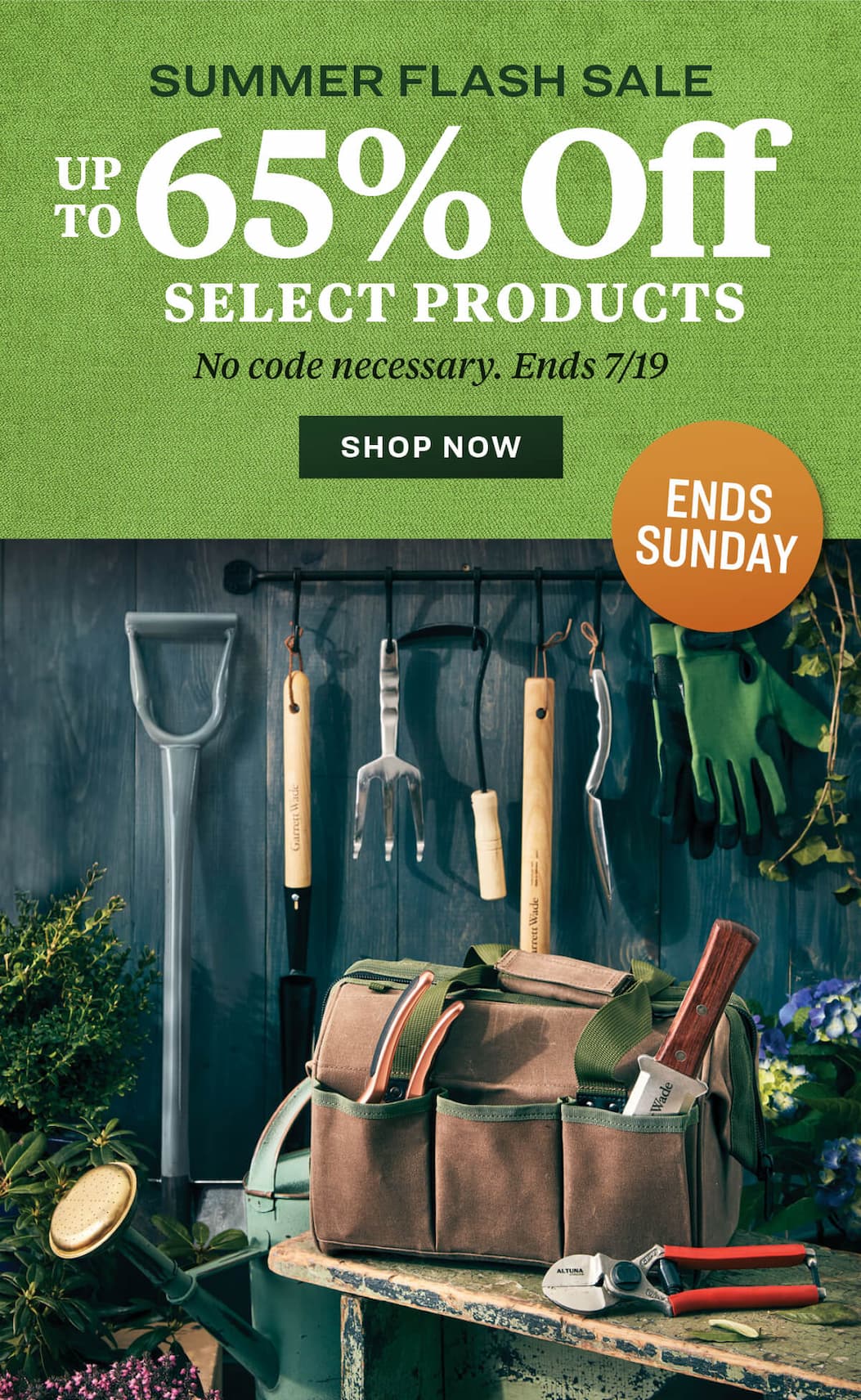 Summer Flash Sale