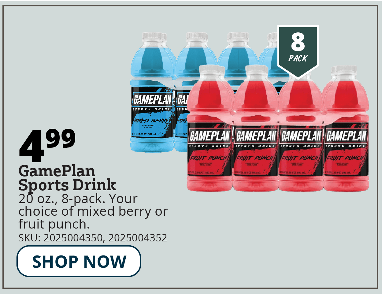 GAME PLAN SPORTS DRINKS