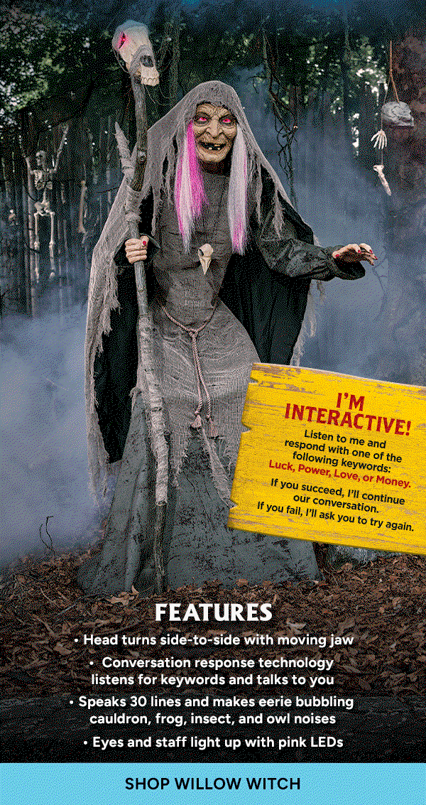 Shop WIllow Witch