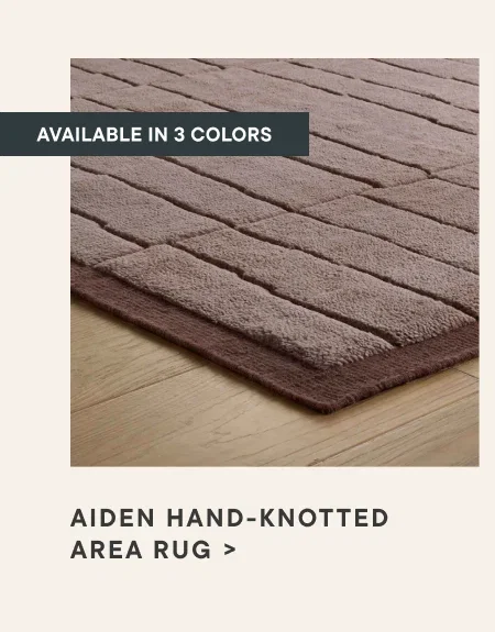 Aiden Rug