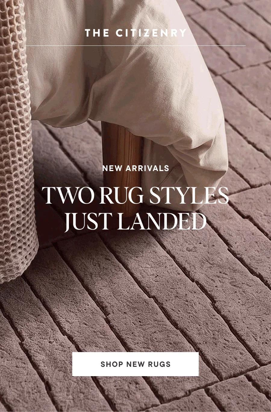 Shop New Rugs