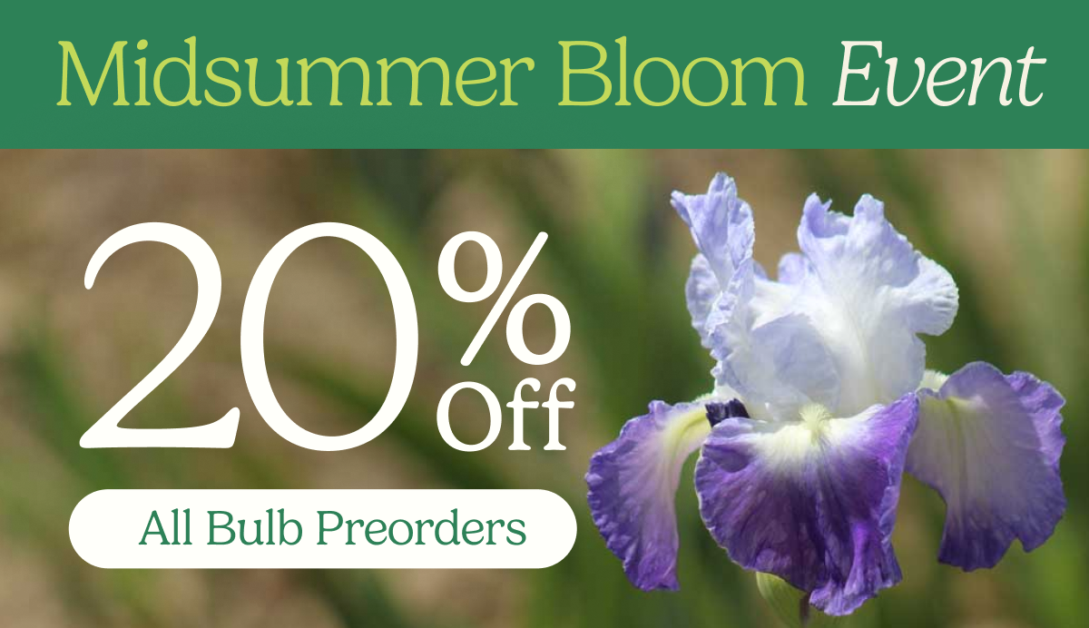 Midsummer Bloom Event – 20% Off All Bulb Preorders