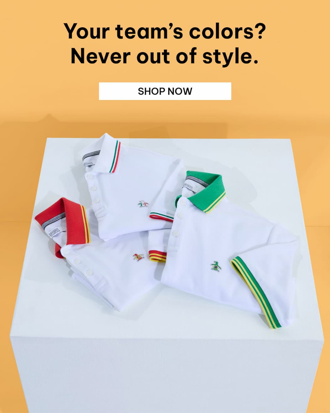 Shop Now