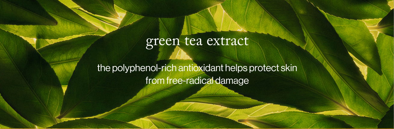 green tea extract