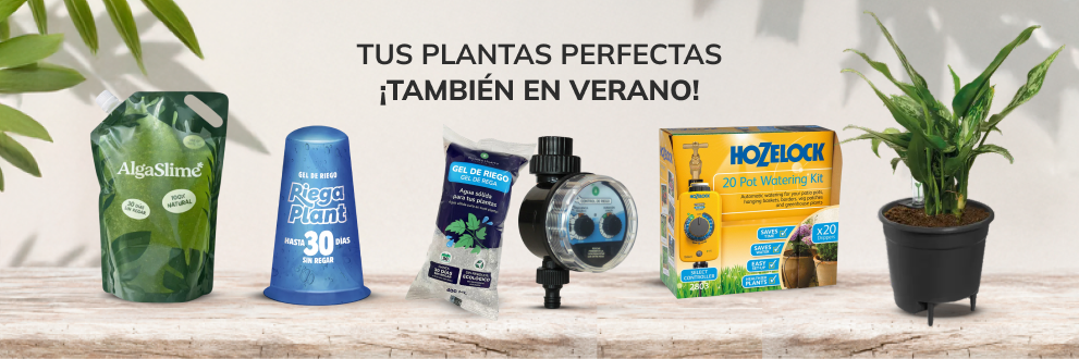 Productos
