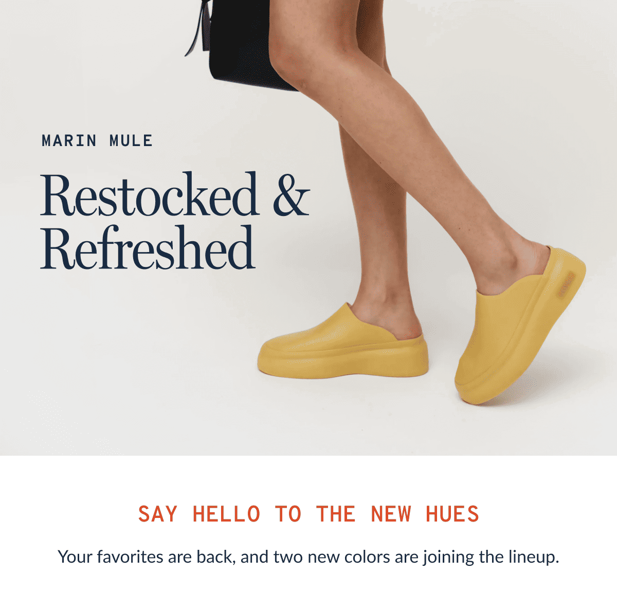Restocked & Refreshed
