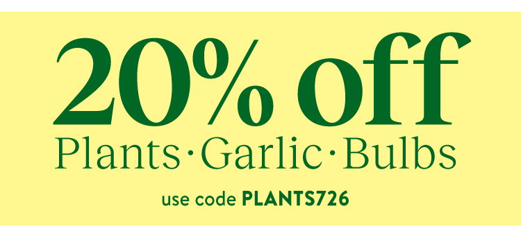 Brassica Plants