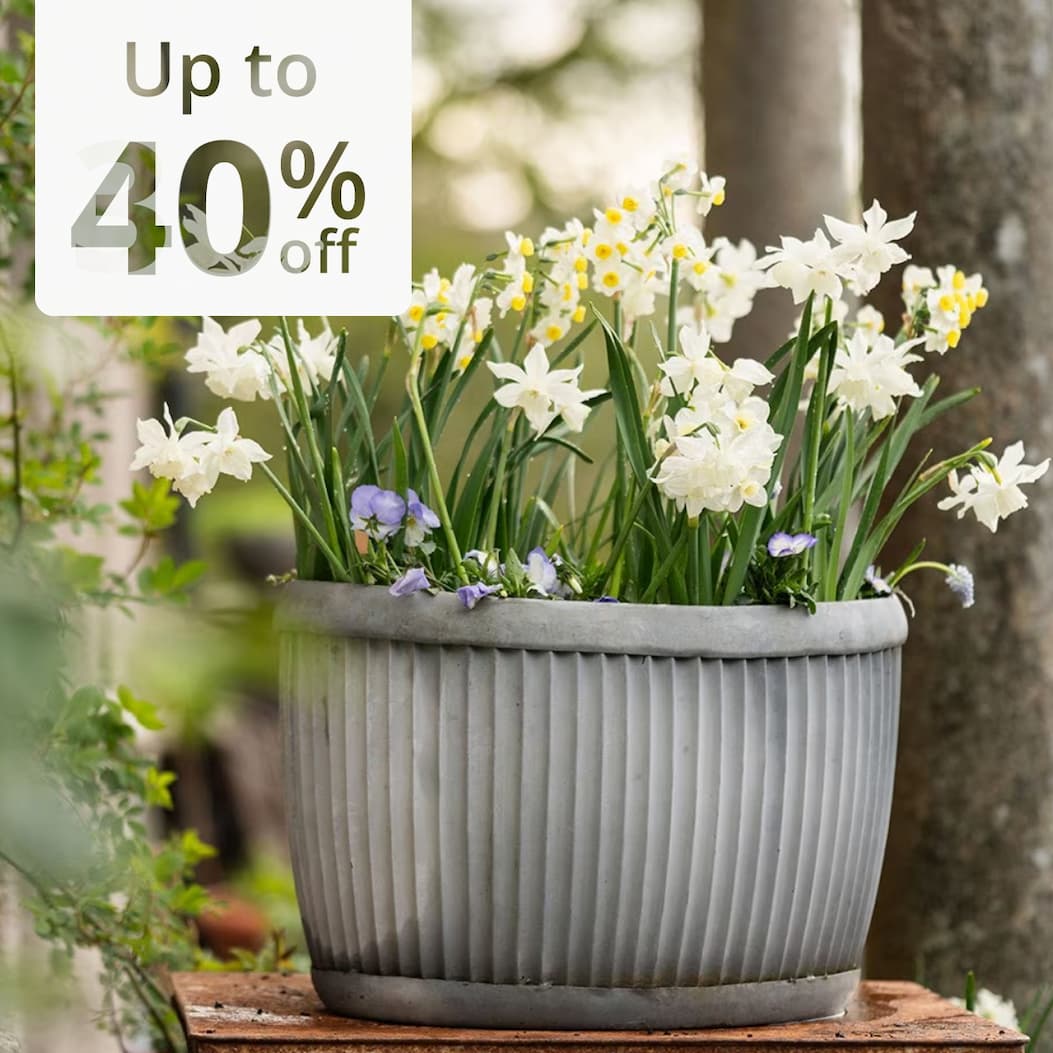 Plant pots & baskets