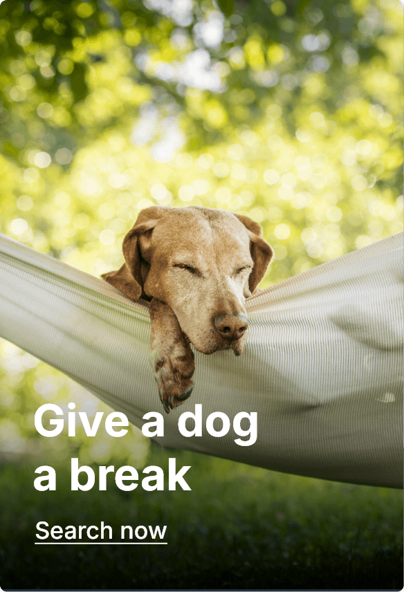 Pet friendly cottages