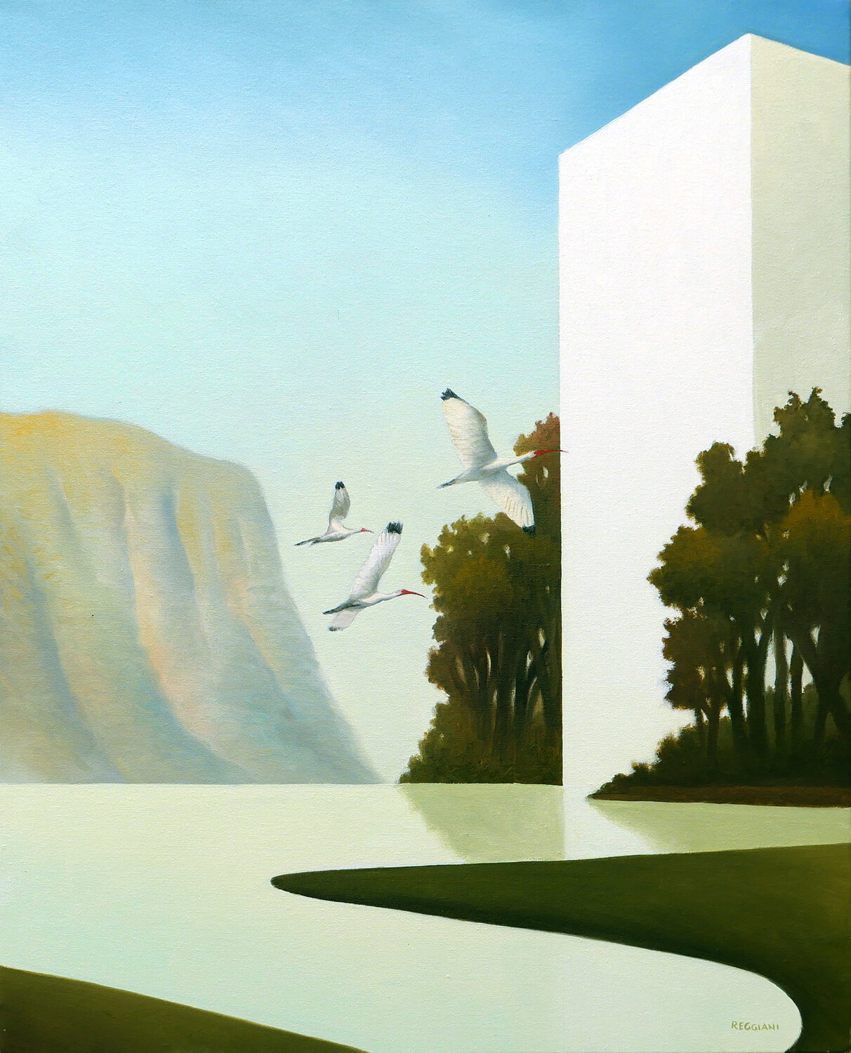 La misura del volo, Cesare Reggiani