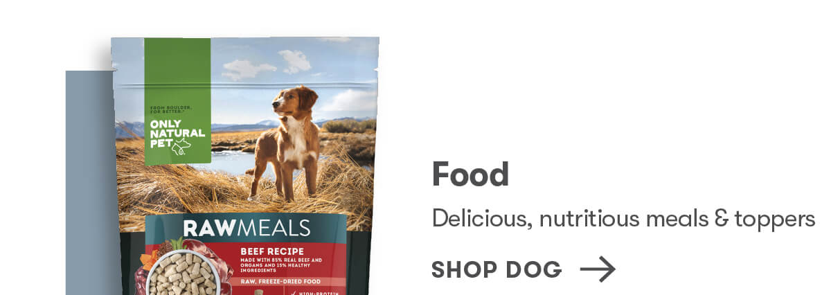 Shop Dog