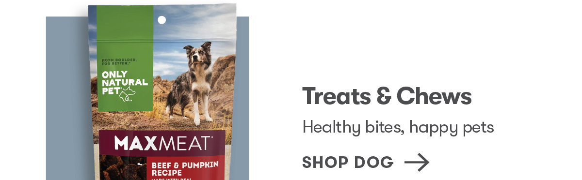 Shop Dog