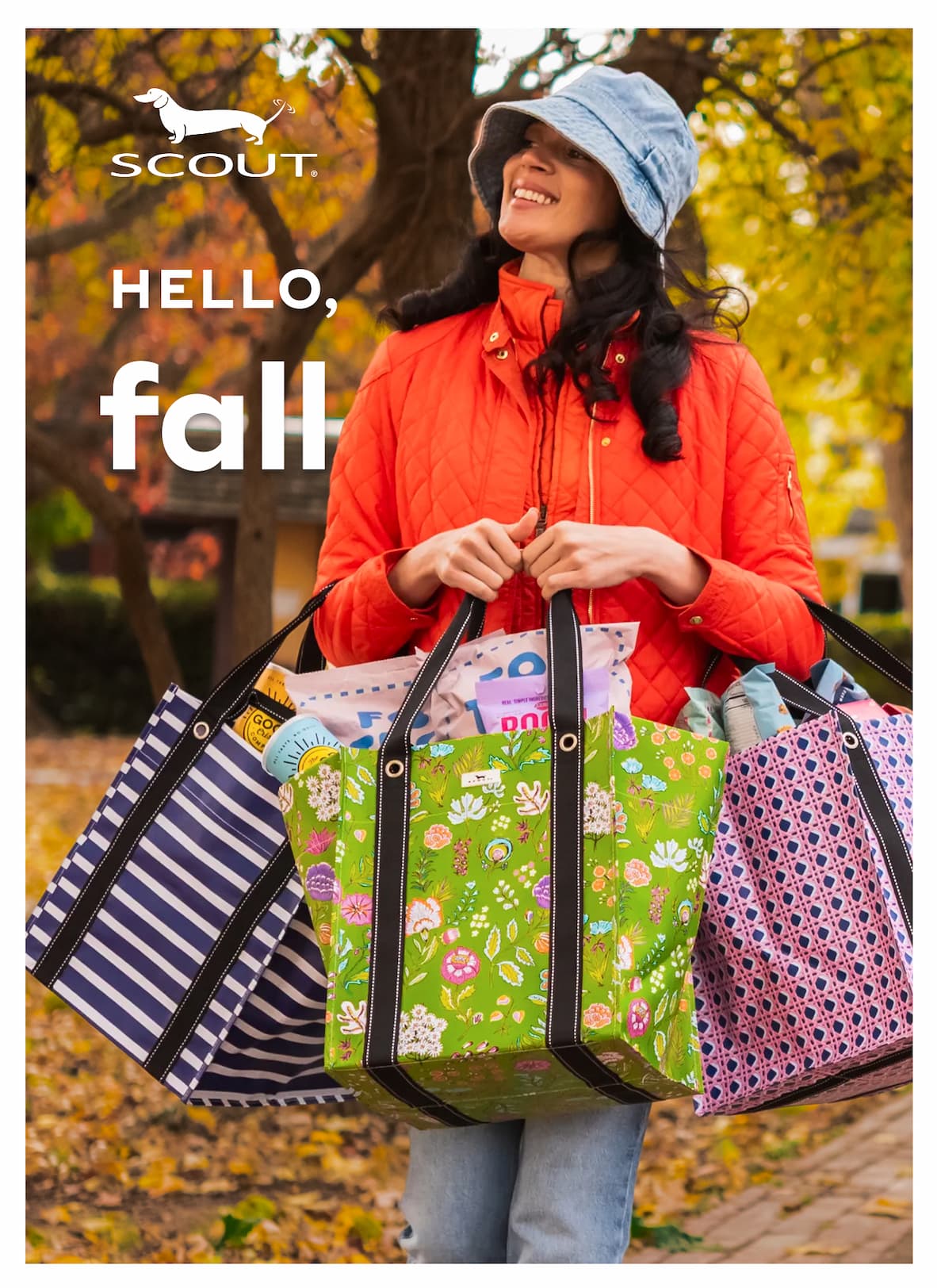 hello, fall