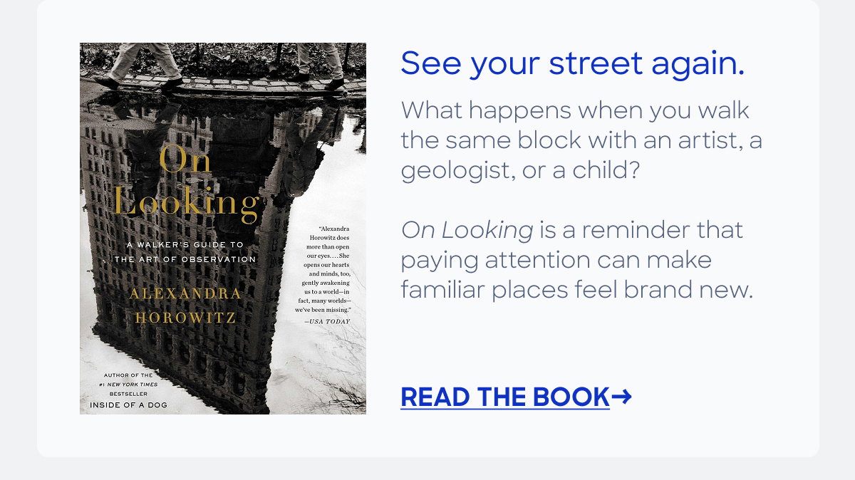read the book On Looking