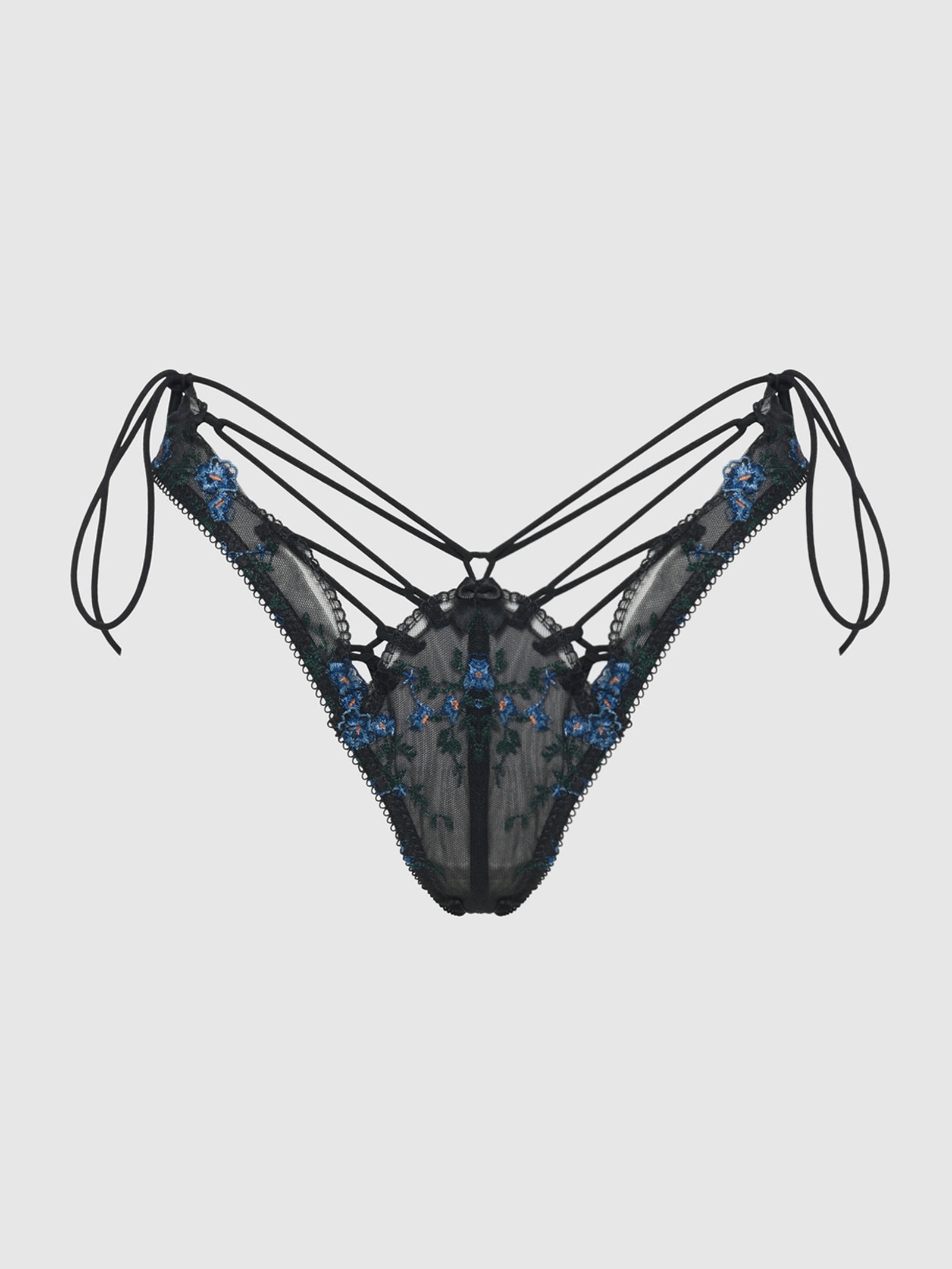 Harlow Embroidered Mesh Hipster