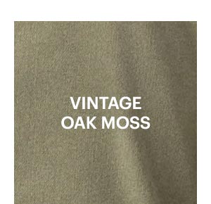 Color swatch of a light green called Vintage Oak Moss.