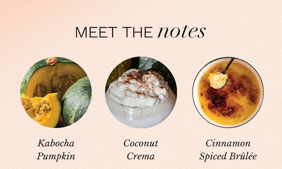 Meet the Notes