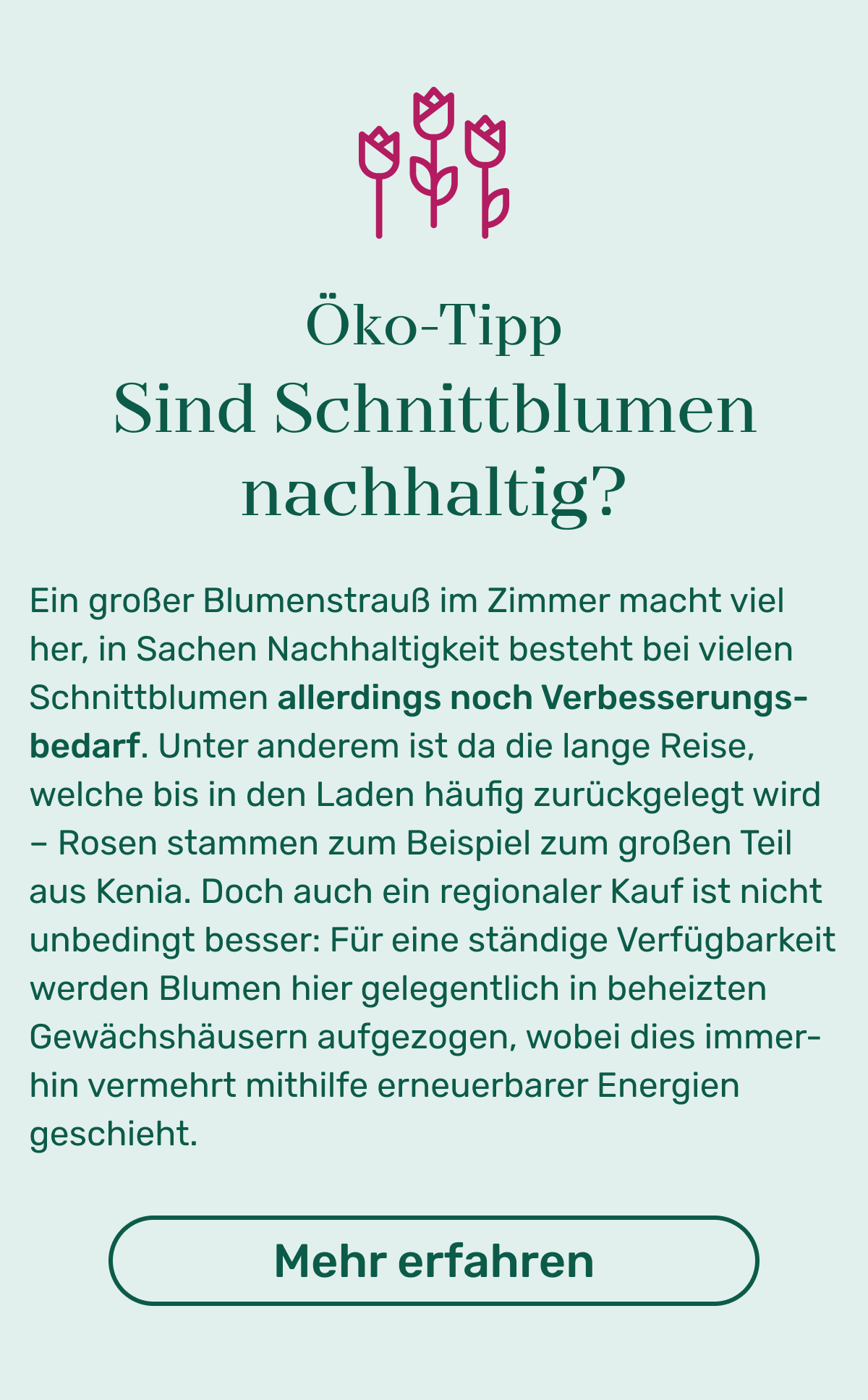 Öko Tipp: Sind Schnittblumen nachhaltig? Ein großer Blumenstrauß im Zimmer macht viel her, in Sachen Nachhaltigkeit besteht bei vielen Schnittblumen allerdings noch Verbesserungsbedarf. Unter anderem ist da die lange Reise, welche bis in den Laden häufig zurückgelegt wird – Rosen stammen zum Beispiel zum großen Teil aus Kenia. Doch auch ein regionaler Kauf ist nicht unbedingt besser: Für eine ständige Verfügbarkeit werden Blumen hier gelegentlich in beheizten Gewächshäusern aufgezogen, wobei dies immerhin vermehrt mithilfe erneuerbarer Energien geschieht. Button: Mehr erfahren