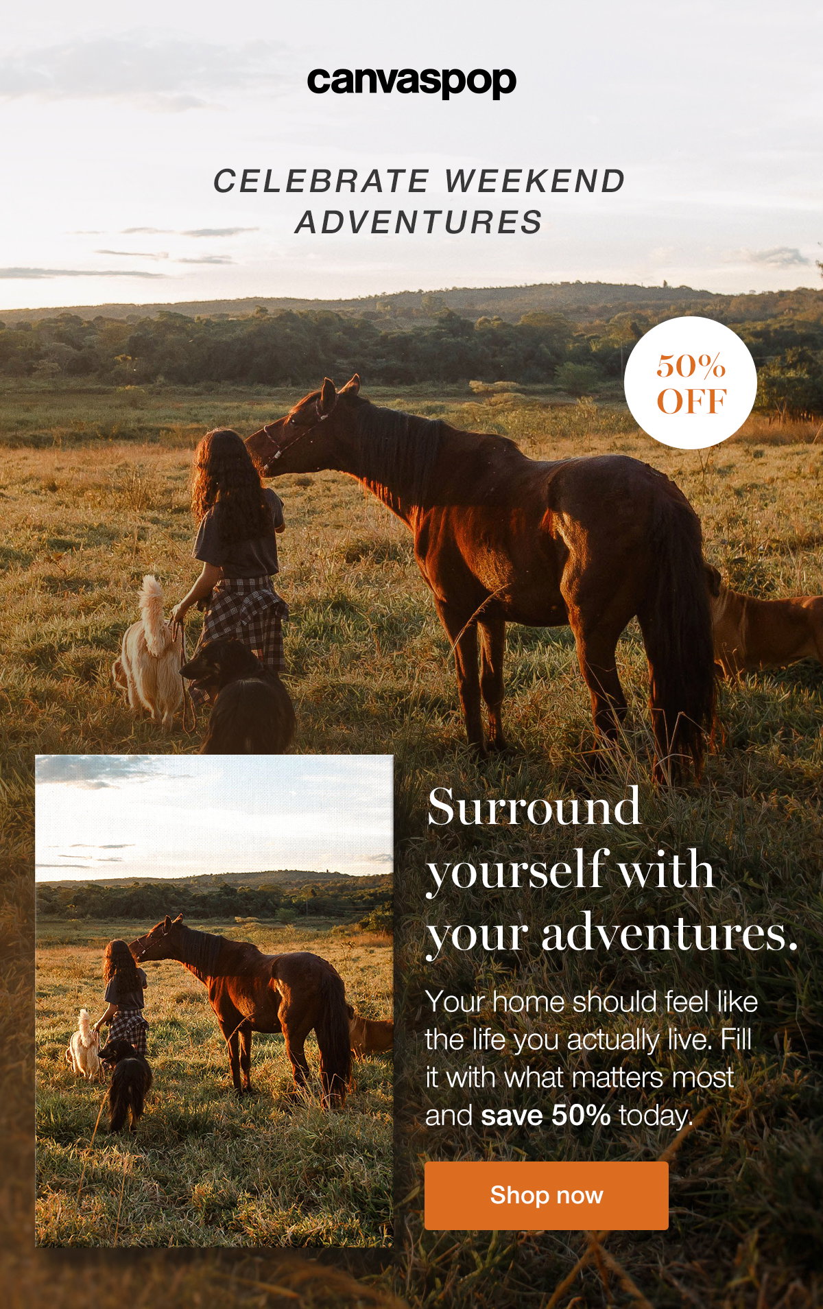 Surround yourself with your adventures. Your home should feel like the life you actually live. Fill it with what matters most and save 50% today. Shop now.