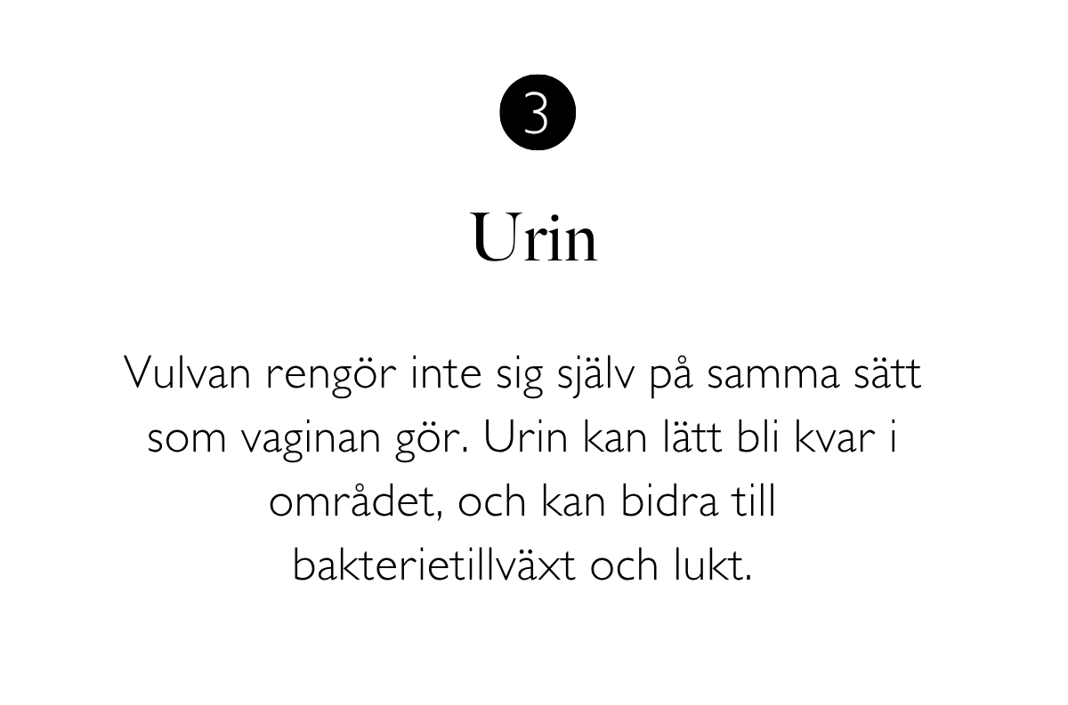 3. Urin: Vulvan rengör inte sig själv på samma sätt som vaginan gör. Urin kan lätt bli kvar i området, och kan bidra till bakterietillväxt och lukt.