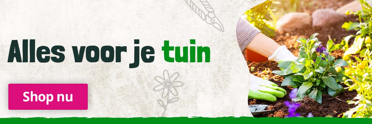 tuin