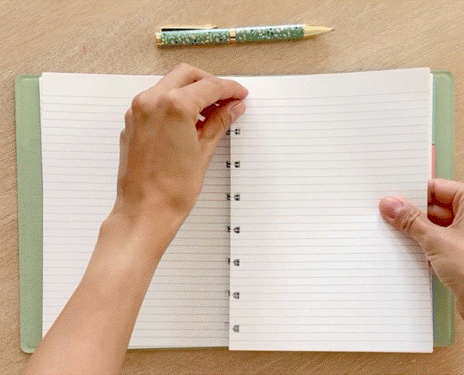 Notebook Sage.