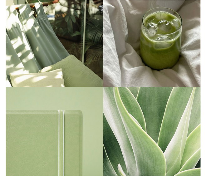 Notebook Sage.