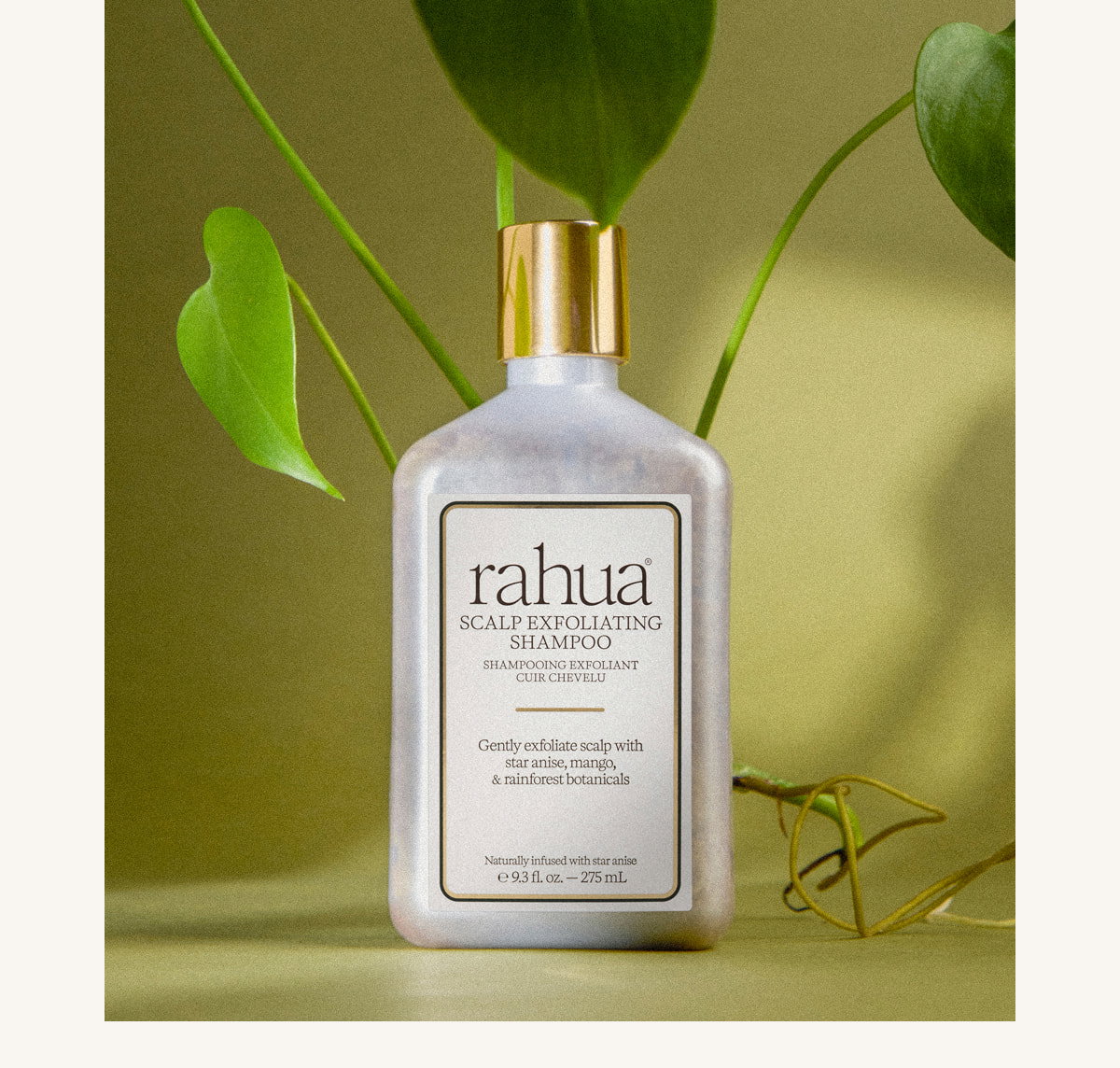 Cleanse with Scalp Exfoliating Shampoo