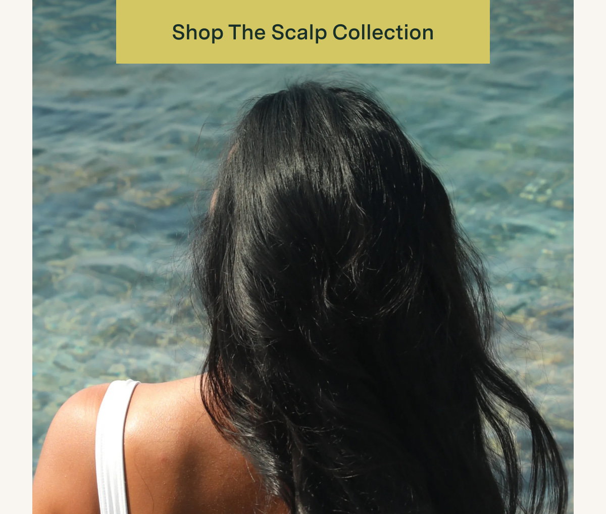Shop the Scalp Collection