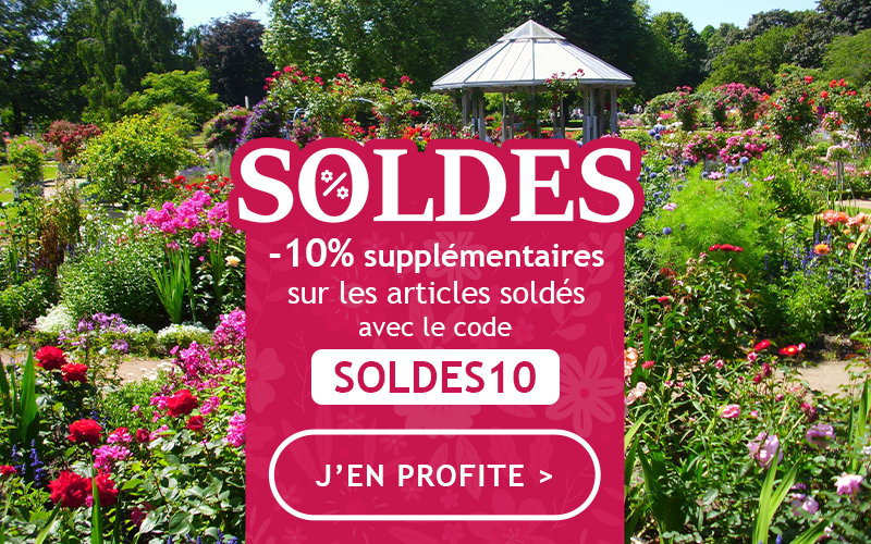 Soldes jusqu'à -40%