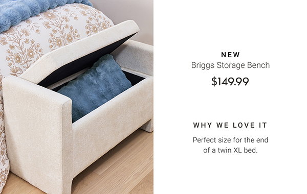 New! Briggs Storage Bench - Why we Love it. Perfect size for the end of a twin XL bed.